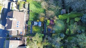 Plot- click for photo gallery